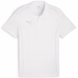 Polo Puma teamFINAL