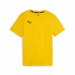 T-shirt enfant Puma teamGOAL Casuals