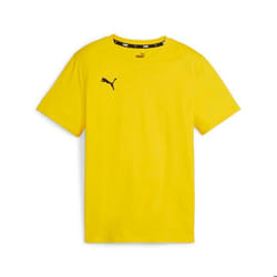 T-shirt enfant Puma teamGOAL Casuals