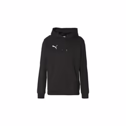 Sweatshirt à capuche Puma Teamgoal Casuals