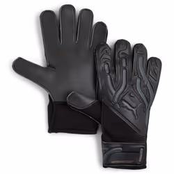 Gants de gardien Puma Ultra Play RC