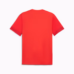 PUMA teamGOAL