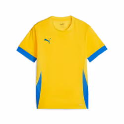 Maillot d'entraînement enfant Puma TeamGoal