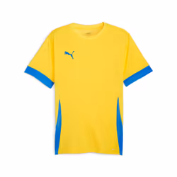 Maillot Puma TeamGoal