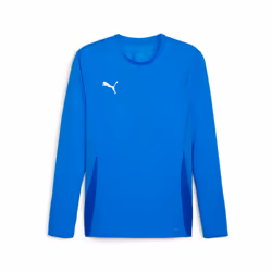 Maillot manches longues Puma TeamGoal