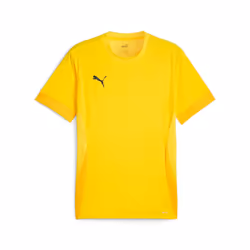 Maillot Puma TeamGoal - L