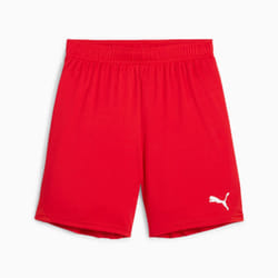 PUMA teamGOAL