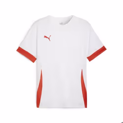 Maillot Puma TeamGoal