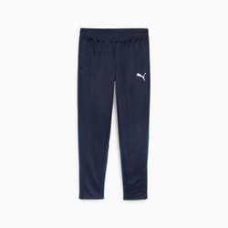 PUMA teamGOAL Mâle Bleu Polyester