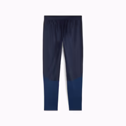 PUMA teamGOAL Mâle Bleu Polyester