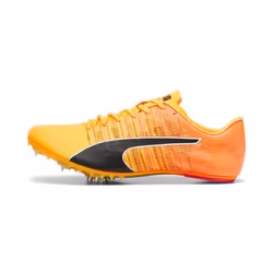 Chaussures d'athlétisme Puma Teamwear evoSPEED Future 6