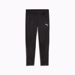 PUMA teamGOAL, Pantalons d’entraînement, Football, Mâle, Noir, Adulte, Monochromatique