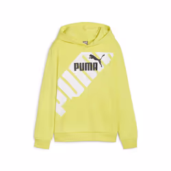 Sweatshirt à capuche enfant Puma Power Graphic