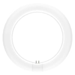 Tube LED T9 Value Circulaire LEDVANCE 11W 1320lm - 865 Lumière Du Jour  Équivalent 22W