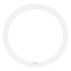 Tube LED - LEDVANCE - T9 Value Circulaire - 24W - 2900lm - Blanc Froid 4000K