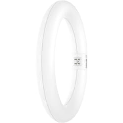 Osram - led cee: e (a - g) G10q forme d'anneau 11 w = 22 w blanc froid (ø x l) 312 mm x 212 mm 1 pc(s) C883282