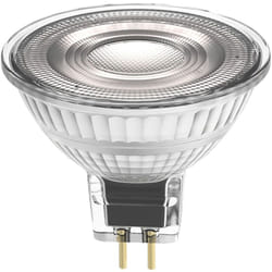 Ledvance Performance Spot LED Réflecteur GU5.3 MR16 5W 345lm 36D