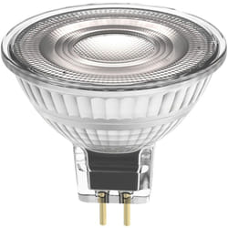 Ledvance - Performance Spot led Réflecteur GU5.3 MR16 5W 345lm 36D