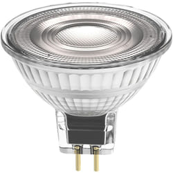 Performance Spot led Réflecteur GU5.3 MR16 2.6W 210lm - Ledvance