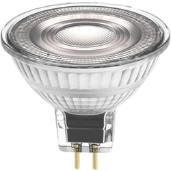 Performance Spot led Réflecteur GU5.3 MR16 2.6W 210lm - Ledvance