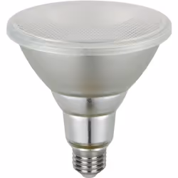 Lampesdirect ® est le grossiste de Ampoules LED Spots | Chez Lampesdirect, le "Ledvance Performance Spot LED E27 PAR38 13.5W  ...