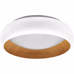 Plafonniers LED avec anneau métallique. Caractéristiques du produit: Type de protection : IP20. Durée de vie : jusqu'à 30 000 ...