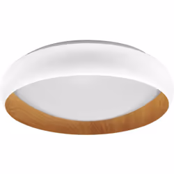 Plafonniers LED avec anneau métallique. Caractéristiques du produit: Type de protection : IP20. Durée de vie : jusqu'à 30 000 ...