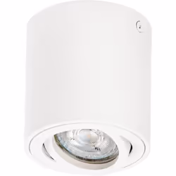 Luminaires apparents avec douille GU10. Caractéristiques du produit: Convient pour les lampes avec culot GU10. Matériel du bo ...