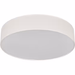 Plafonniers à douille avec anneau en tissu. Caractéristiques du produit: Éclairage décoratif domestique. Plafonnier avec pris ...