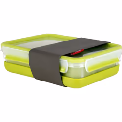 Tefal K31002, Boîte de rangement alimentaire, Adulte, Vert, Transparent, Allemagne, 1,2 L, 163 mm