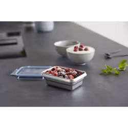 EMSA CLIP & CLOSE N1150310 boîte hermétique alimentaire Rectangulaire 0,5 L Acier inoxydable 1 pièce(s)