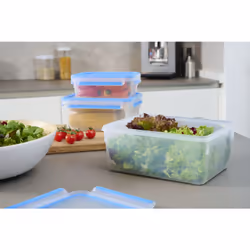 Tefal Masterseal Fresh N1033010 boîte hermétique alimentaire Rectangulaire Régler Bleu, Translucide 3 pièce(s)
