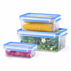 Tefal Masterseal Fresh N1033010 boîte hermétique alimentaire Rectangulaire Régler Bleu, Translucide 3 pièce(s)