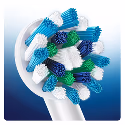 Oral-B CrossAction 5 pièce(s) Blanc