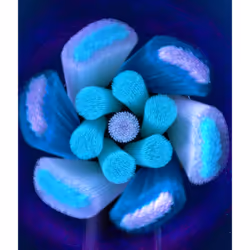 Oral-B iO Ultimate Clean 4 pièce(s) Blanc - Vue supplémentaire 8