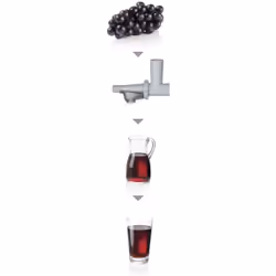 Bosch MFW68660 hachoir 800 W Noir - Vue supplémentaire 11