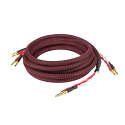 DynaVox Câble de Haut-Parleur   Perfect Sound 2 x 3 m Noir - 207298