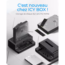 ICY BOX IB-2914MSCL-C31 USB 3.2 Gen 2 (3.1 Gen 2) Type-C Noir