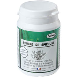 Bubimex - Poudre de spiruline - 60g