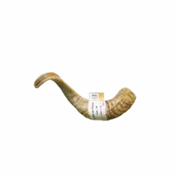 Corne de mouton pour chien Friandise 100% naturelle qui favorise le mordillement et la mastication. Elle participe ainsi favo ...