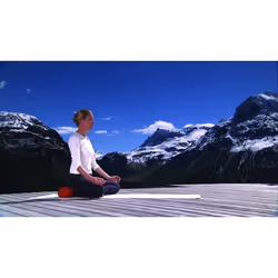 WVG Yoga mit Ralf Bauer 2 DVD Allemand