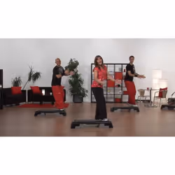 WVG STEP Aerobic Fatburner intensiv DVD Allemand