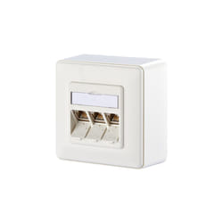 BTR NETCOM 1309130002-E prise de courant RJ-45 Blanc