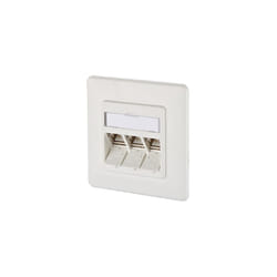 BTR NETCOM 1309131002-E prise de courant RJ-45 Blanc