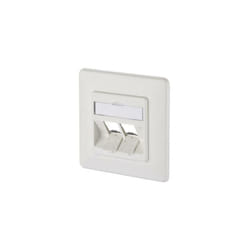 Metz Connect - 130B20D21002KE Prise réseau encastré insert avec plaque centrale et châssis non équipé 2 ports blanc pur (ral 9010) C151581
