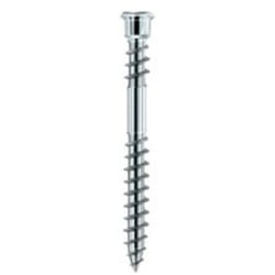 Vis terrasse tete cylindrique TX15 Inox Trempé avec homologation, 905535 5,5 x 60 (Par 200)