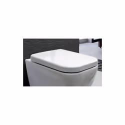 Description générale Cet abattant WC suspendu blanc en plastique thermodurci est conçu pour offrir à la fois confort et prati ...