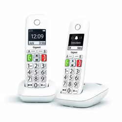 Gigaset E290 Duo