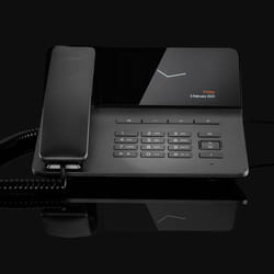 Gigaset Pro Fusion FX800W Téléphone DECT Identification de l'appelant Titane
