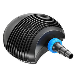 SunSun CTF-5000 Pompe de Bassi